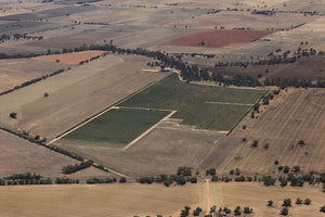 The Vineyard - Foundations & Functions