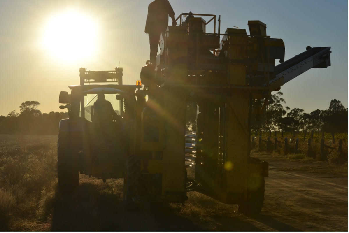 Announcing a New Arrival for 2021